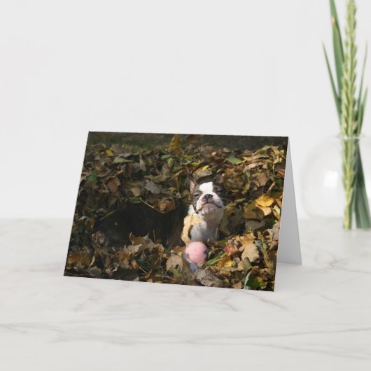 Martha-Fall Karte (Vorderseite)