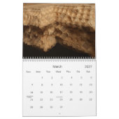 Martha Lewis, klein: Weit und nahe 2011 Kalender (Mär 2027)