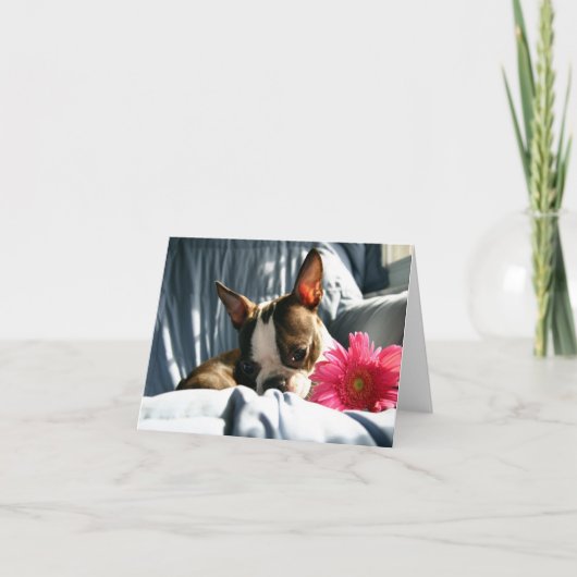 Martha und Gerber Daisy Karte (Vorderseite)