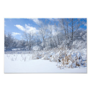 Marthaler Park Frozen Pond and Trees Fotodruck