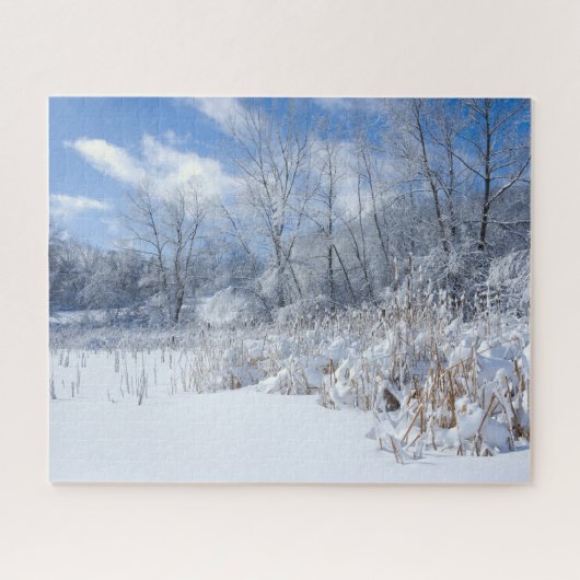 Marthaler Park Frozen Pond and Trees Puzzle (Horizontal)
