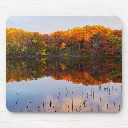 Marthaler Park Herbst- und Teichreflektionen Mousepad (Vorne)