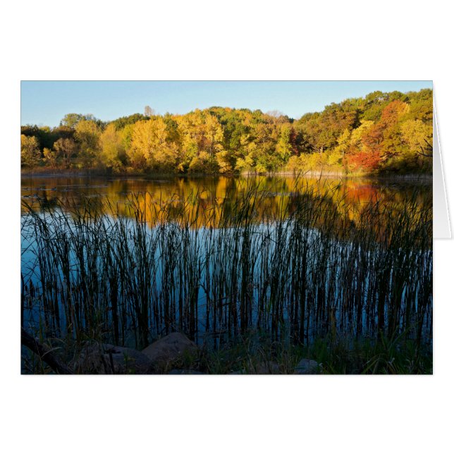 Marthaler Park Herbstreflektionen (Vorderseite (Horizontal))