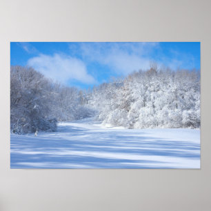 Marthaler Park Schneehügel Poster