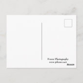 Marthaler Park Snowy Hills Postkarte (Rückseite)