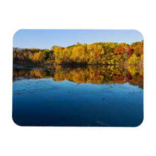 Marthaler Park Wälder und Reflexionen Herbst Magnet