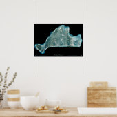 Marthas Vineyard Massachusetts Satellitenposter Poster (Küche)