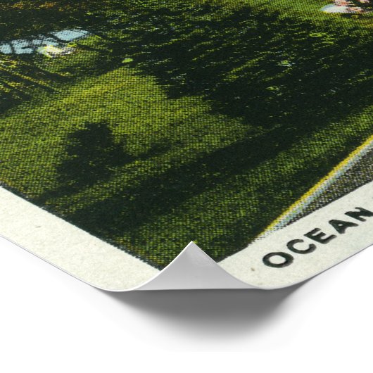 Martha's Vineyard, Ocean Park View Poster (Ecke)