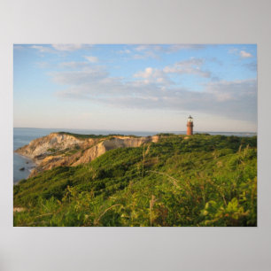 Martha's Vineyard Poster