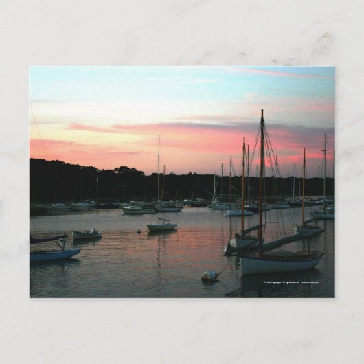 Martha's Vineyard Postkarte (Vorderseite)