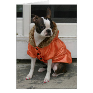 Marthas Wintermantel