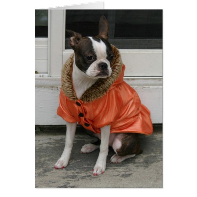 Martha's Wintermantel (Vorne)