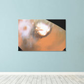 Martian Cyclone, aus der Region Nordpolen gesehen Leinwanddruck (Insitu (Holzboden))