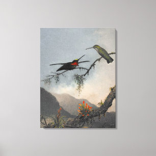 MARTIN J. HEADE Stripe-breasted Starthroat (1864) Leinwanddruck