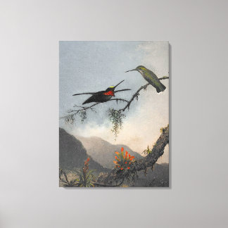 MARTIN J. HEADE Stripe-breasted Starthroat (1864) Leinwanddruck