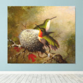 MARTIN J. HEADE - Zwei Ruby Throats von ihrem Nest Leinwanddruck (Insitu (Holzboden))