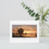 Martin Johnson Heade #253 - Fine Art Postcard Postkarte (Stehend Vorderseite)