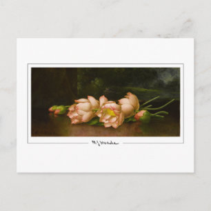 Martin Johnson Heade #34 - Kunstpostkarte Postkarte
