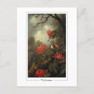 Martin Johnson Heade #36 - Fine Art Postcard Postkarte