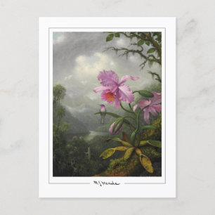 Martin Johnson Heade #4 - Fine Art Postcard Postkarte