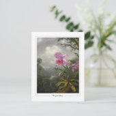 Martin Johnson Heade #4 - Fine Art Postcard Postkarte (Stehend Vorderseite)