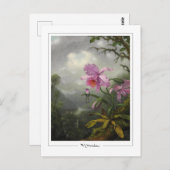 Martin Johnson Heade #4 - Fine Art Postcard Postkarte (Vorne/Hinten)