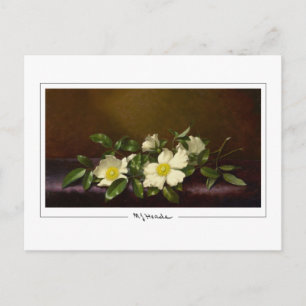 Martin Johnson Heade #52 - Kunstpostkarte Postkarte