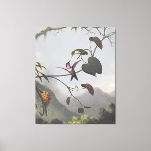 MARTIN JOHNSON HEADE - Amethyst Woodstar - 1863-64 Leinwanddruck