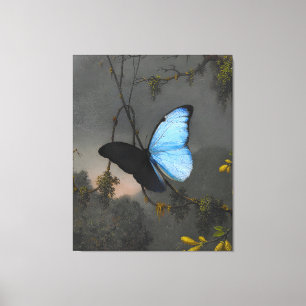 MARTIN JOHNSON HEADE - Blue Morpho Butterfly - Leinwanddruck