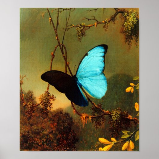 Martin Johnson Heade Blue Morpho Butterfly Poster (Vorne)