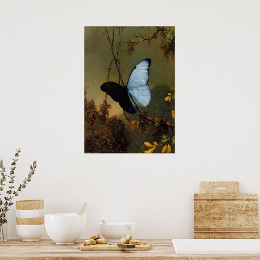 Martin Johnson Heade - Blue Morpho Butterfly Poster (Küche)