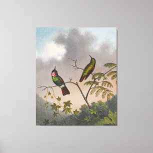 MARTIN JOHNSON HEADE - Brasilianische Ruby - c. 18 Leinwanddruck
