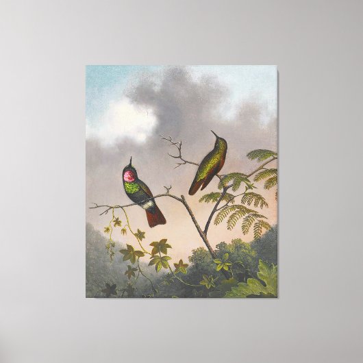 MARTIN JOHNSON HEADE - Brasilianische Ruby - c. 18 Leinwanddruck (Vorderseite)