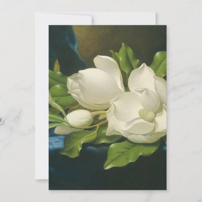 Martin Johnson Heade - Giant Magnolias (Vorderseite)