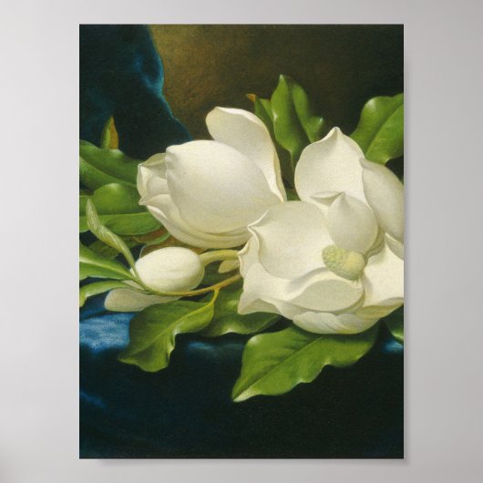Martin Johnson Heade - Giant Magnolias Poster (Vorne)