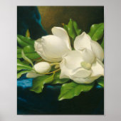 Martin Johnson Heade - Giant Magnolias Poster (Vorne)