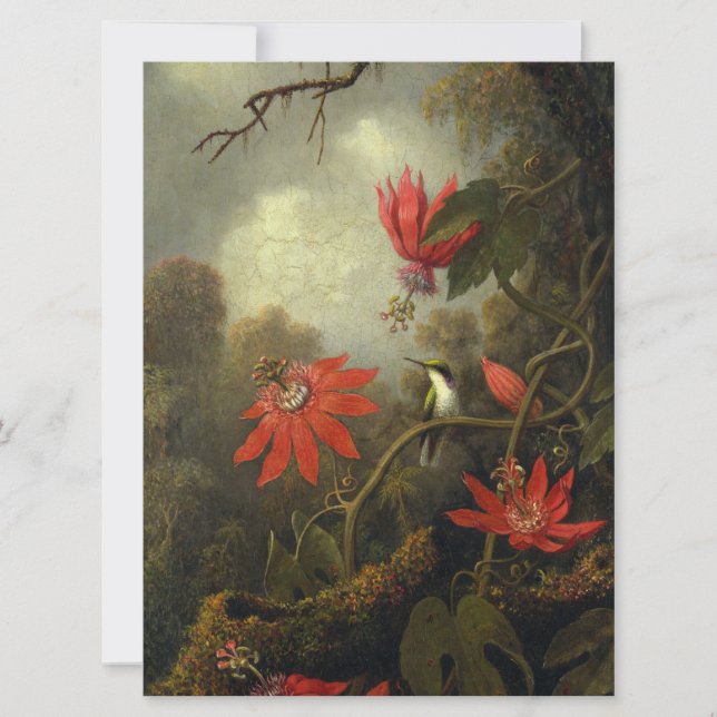 Martin Johnson Heade - Hummingbird und Passion (Vorderseite)