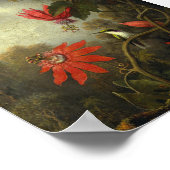 Martin Johnson Heade - Hummingbird und Passion Poster (Ecke)