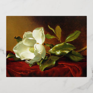 Martin Johnson Heade Magnolia Vintag Folien Feiertagspostkarte