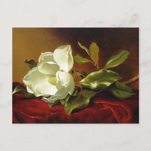 Martin Johnson Heade Magnolia Vintag Postkarte (Vorderseite)
