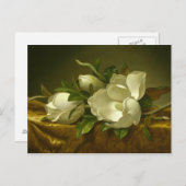 Martin Johnson Heade - Magnolias auf Gold Velvet Postkarte (Vorne/Hinten)