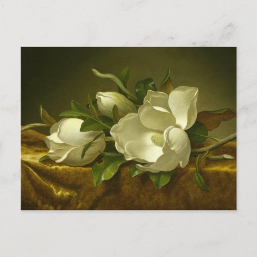 Martin Johnson Heade - Magnolias auf Gold Velvet Postkarte (Vorderseite)