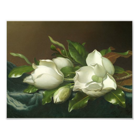 Martin Johnson Heade - Magnolias on Light Blue Fotodruck (Vorne)