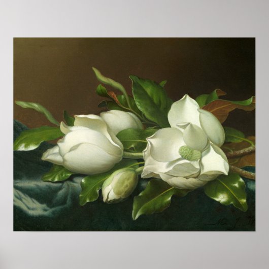 Martin Johnson Heade - Magnolias on Light Blue Poster (Vorne)
