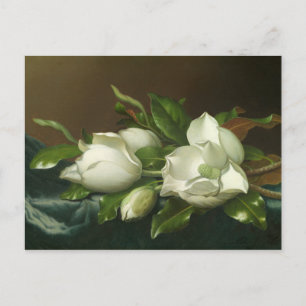 Martin Johnson Heade - Magnolias on Light Blue Postkarte