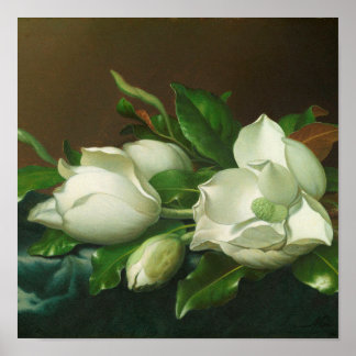 Martin Johnson Heade - Magnolias Poster