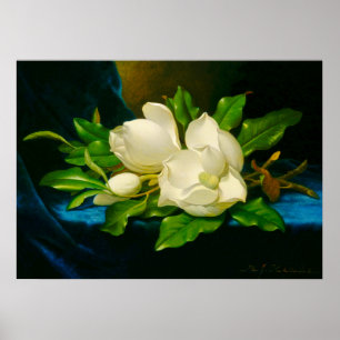 Martin Johnson Heade – Magnolien auf goldenem Samt Poster