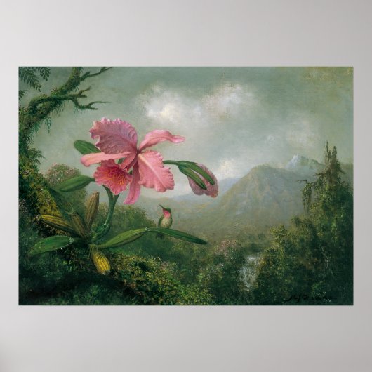 Martin Johnson Heade - Orchid mit Two Hummingbird Poster (Vorne)