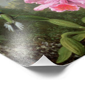 Martin Johnson Heade Orchid und Hummingbirds Fotodruck (Ecke)