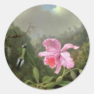 Martin Johnson Heade Orchid und Hummingbirds Runder Aufkleber